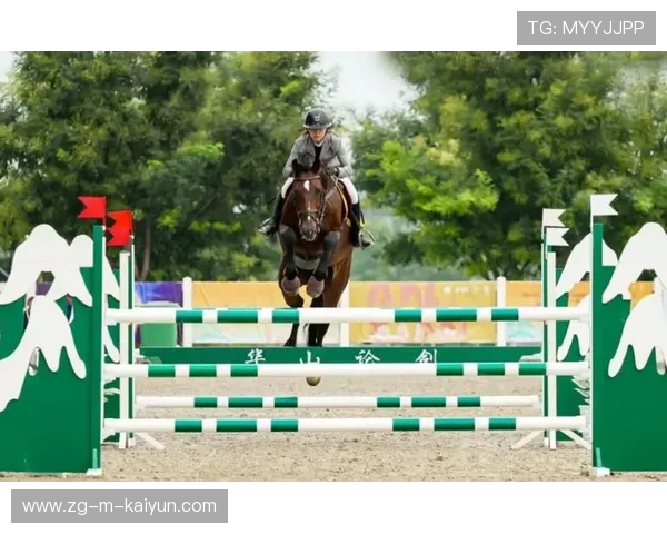 美国骑手麦克莱恩·沃德在巴黎奥运会上获得障碍赛银牌，成为历史上获得最多奥运奖牌的美国马术运动员。