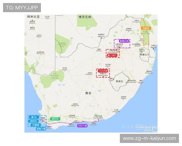 “南非羚羊队的复兴之路：萨尔·巴赫的关键作用”